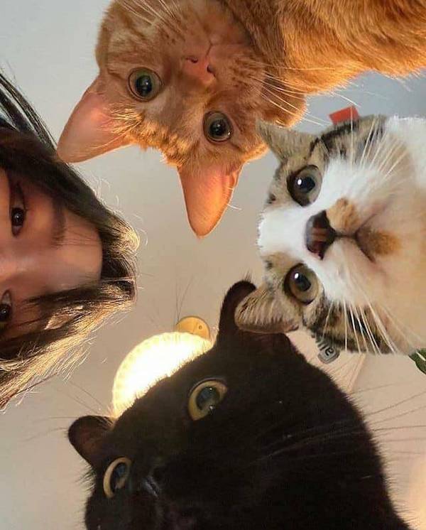 daily picdump 36 pics 14.html - 36 HD Photos | Premium Gallery 2026