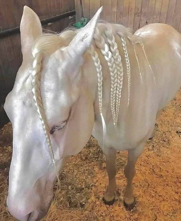 daily picdump 36 pics 14.html - 36 HD Photos | Premium Gallery 2026