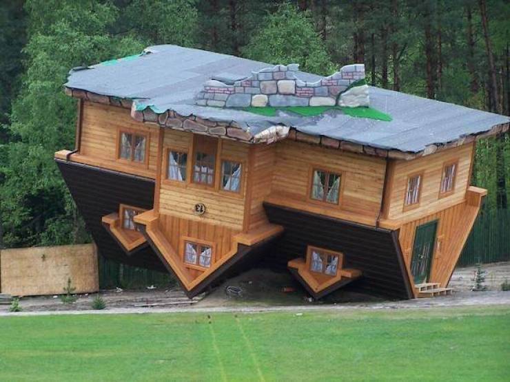 Daily Picdump