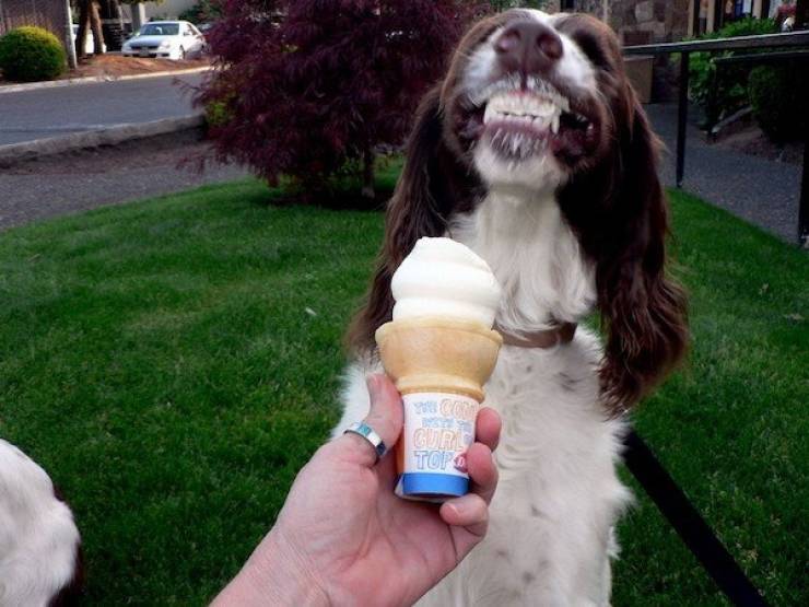 Daily Picdump