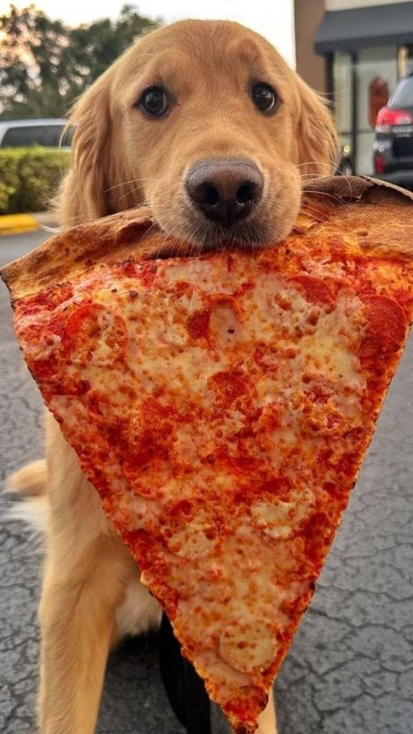 Daily Picdump
