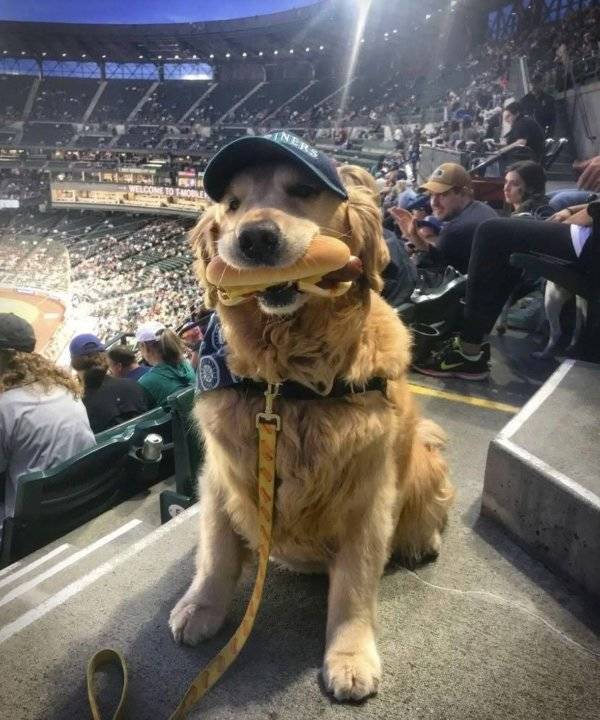 daily picdump 36 pics 2.html - 36 HD Photos | Premium Gallery 2026