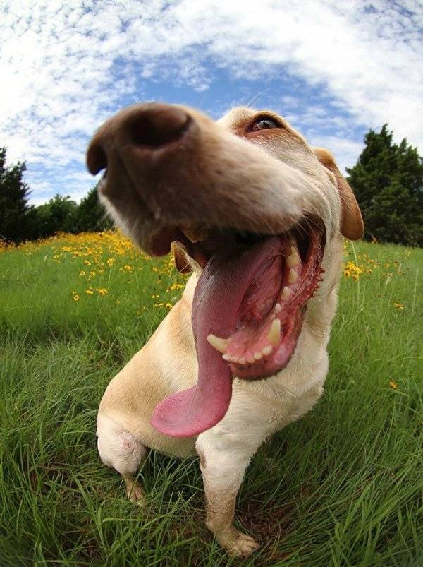 daily picdump 36 pics 2.html - 36 HD Photos | Premium Gallery 2026