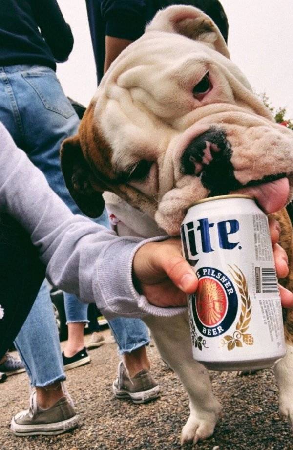 daily picdump 36 pics 2.html - 36 HD Photos | Premium Gallery 2026