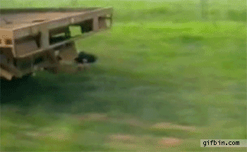 daily gifdump 35 gifs 7.html - 1 HD GIF | Premium Gallery 2026