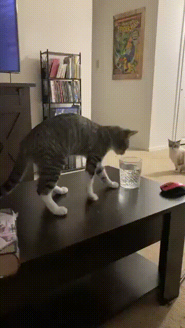daily gifdump 35 gifs 7.html - 1 HD GIF | Premium Gallery 2026