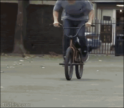 daily gifdump 35 gifs 7.html - 1 HD GIF | Premium Gallery 2026