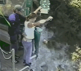 daily gifdump 35 gifs 7.html - 1 HD GIF | Premium Gallery 2026