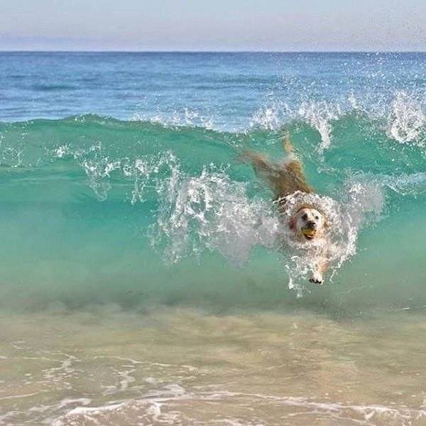 daily picdump 37 pics 2.html - 37 HD Photos | Premium Gallery 2026