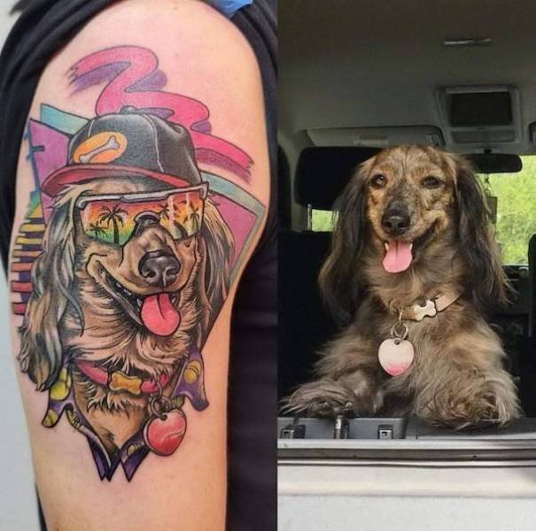 daily picdump 37 pics 2.html - 37 HD Photos | Premium Gallery 2026