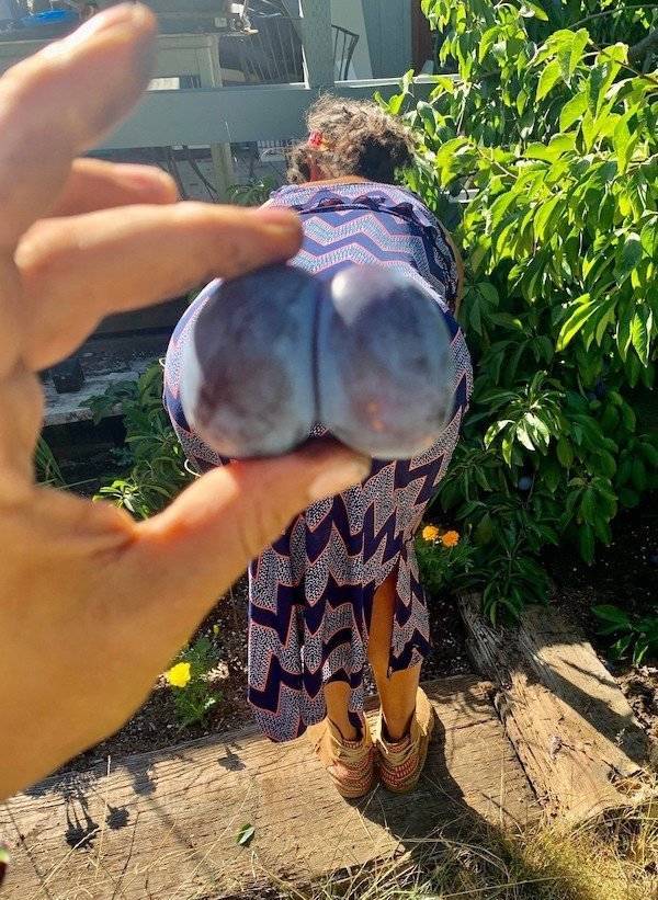 daily picdump 37 pics 2.html - 37 HD Photos | Premium Gallery 2026
