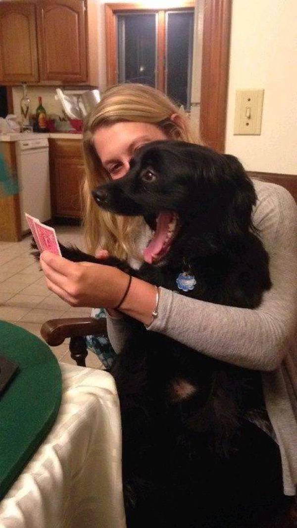 daily picdump 37 pics 2.html - 37 HD Photos | Premium Gallery 2026