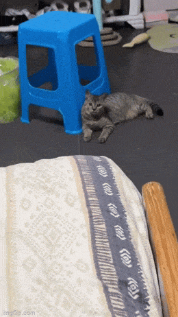 daily gifdump 43 gifs 4.html - 1 HD GIF | Premium Gallery 2026