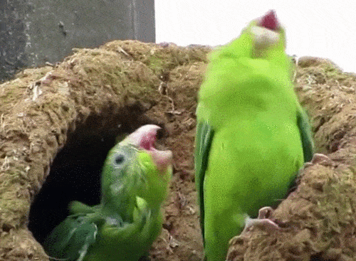 daily gifdump 43 gifs 4.html - 1 HD GIF | Premium Gallery 2026