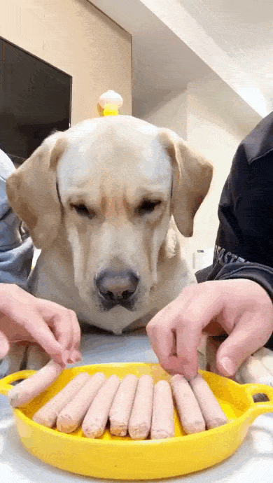 daily gifdump 43 gifs 4.html - 1 HD GIF | Premium Gallery 2026