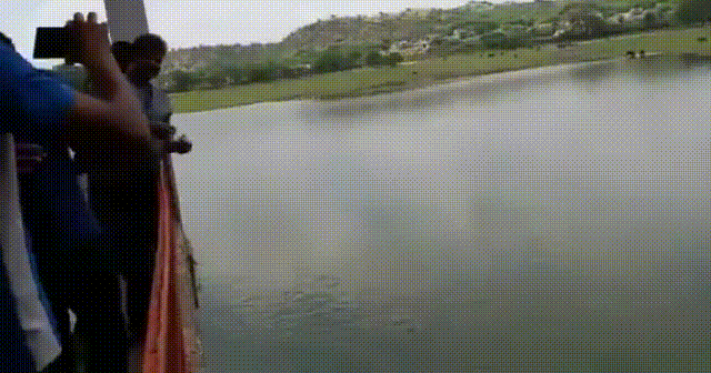 daily gifdump 43 gifs 4.html - 1 HD GIF | Premium Gallery 2026