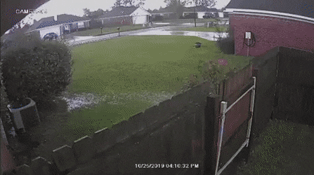daily gifdump 43 gifs 4.html - 1 HD GIF | Premium Gallery 2026