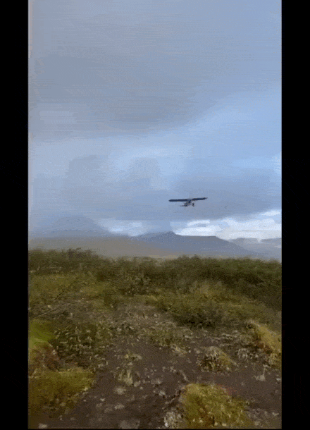 daily gifdump 43 gifs 4.html - 1 HD GIF | Premium Gallery 2026