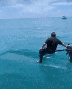 daily gifdump 43 gifs 4.html - 1 HD GIF | Premium Gallery 2026