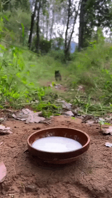 daily gifdump 43 gifs 4.html - 1 HD GIF | Premium Gallery 2026