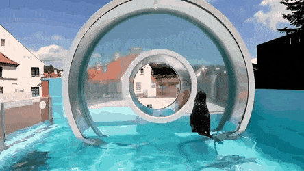 daily gifdump 43 gifs 4.html - 1 HD GIF | Premium Gallery 2026