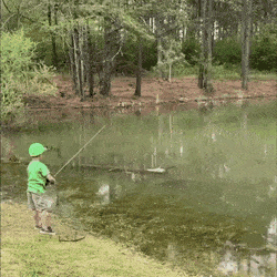 daily gifdump 43 gifs 4.html - 1 HD GIF | Premium Gallery 2026