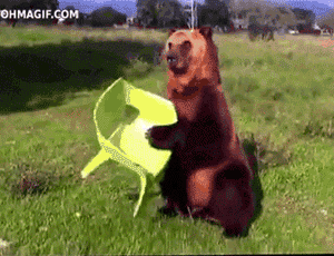 daily gifdump 43 gifs 4.html - 1 HD GIF | Premium Gallery 2026
