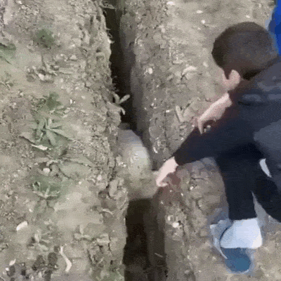daily gifdump 43 gifs 4.html - 1 HD GIF | Premium Gallery 2026