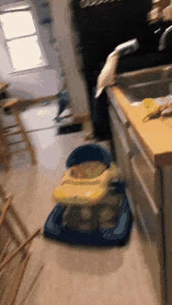daily gifdump 43 gifs 4.html - 1 HD GIF | Premium Gallery 2026
