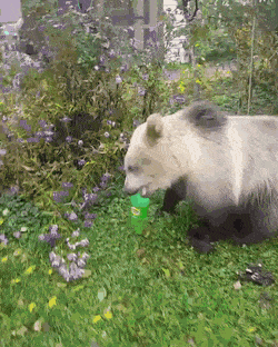 daily gifdump 43 gifs 4.html - 1 HD GIF | Premium Gallery 2026