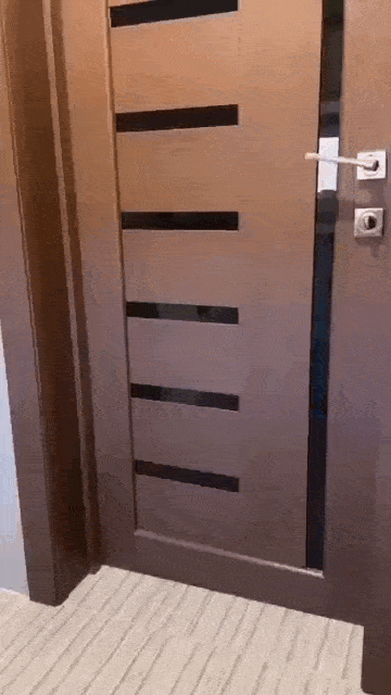 daily gifdump 43 gifs 4.html - 1 HD GIF | Premium Gallery 2026