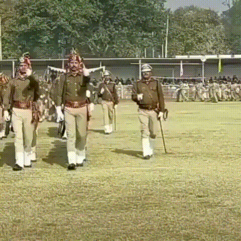 daily gifdump 43 gifs 4.html - 1 HD GIF | Premium Gallery 2026