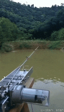 daily gifdump 43 gifs 4.html - 1 HD GIF | Premium Gallery 2026