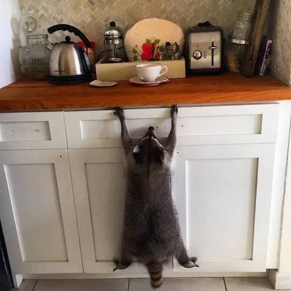 daily picdump 43 pics 10.html - 43 HD Photos | Premium Gallery 2026