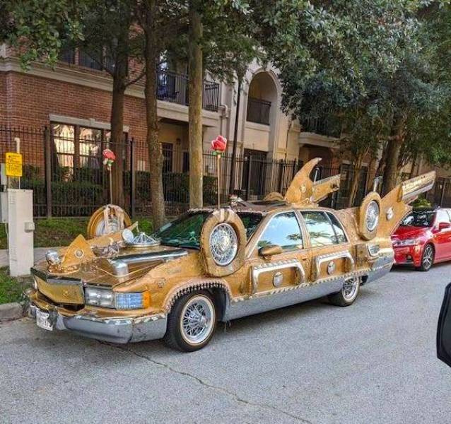 daily picdump 43 pics 10.html - 43 HD Photos | Premium Gallery 2026