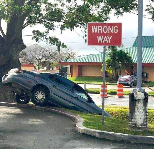 daily picdump 43 pics 10.html - 43 HD Photos | Premium Gallery 2026