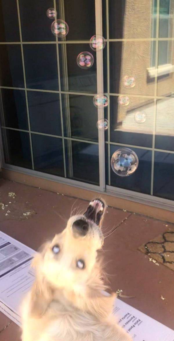 Daily Picdump
