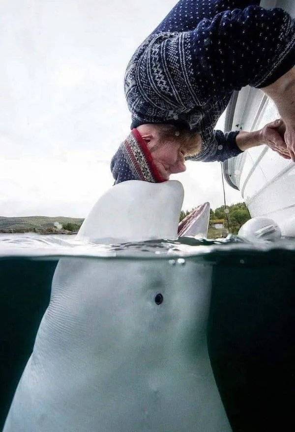 daily picdump 43 pics 10.html - 43 HD Photos | Premium Gallery 2026