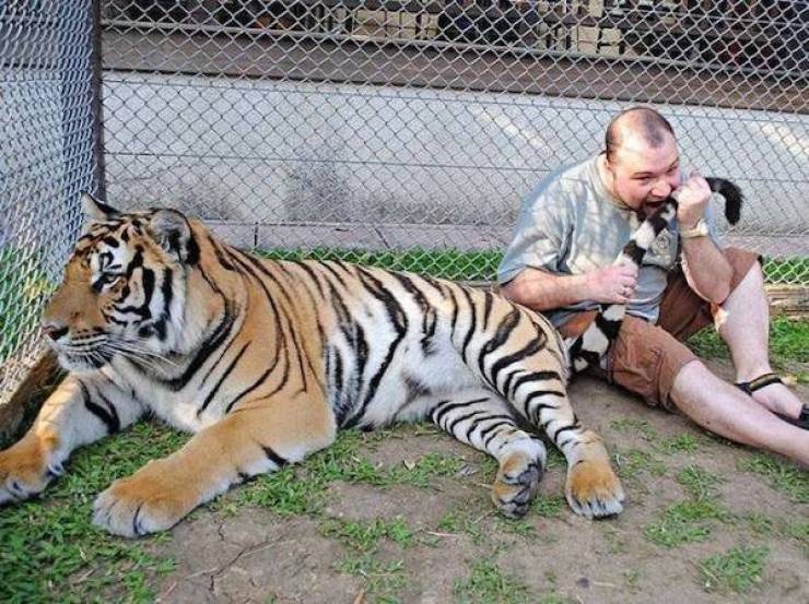 daily picdump 33 pics 11.html - 33 HD Photos | Premium Gallery 2026