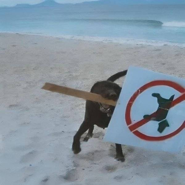 daily picdump 33 pics 11.html - 33 HD Photos | Premium Gallery 2026