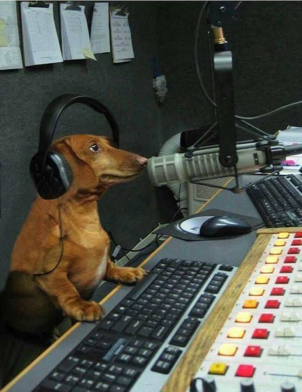 daily picdump 33 pics 11.html - 33 HD Photos | Premium Gallery 2026