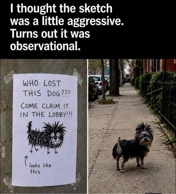 prescribed daily dose of dank memes 36 pics 9.html - 36 HD Photos | Premium Gallery 2026