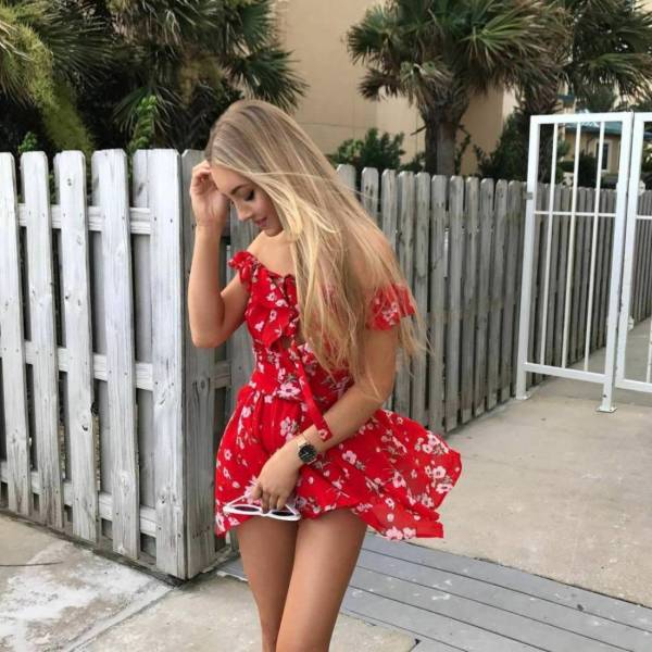 hey nice dress 34 pics 1.html - 34 HD Photos | Premium Gallery 2026