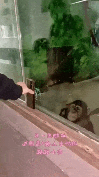 Daily Gifdump