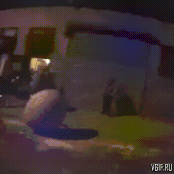 daily gifdump 40 gifs 2.html - 1 HD GIF | Premium Gallery 2026
