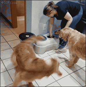 daily gifdump 40 gifs 2.html - 1 HD GIF | Premium Gallery 2026