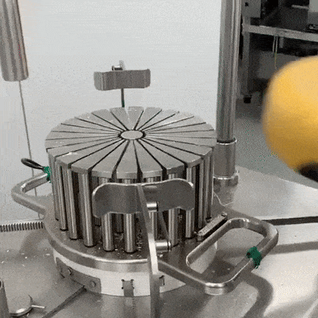 daily gifdump 40 gifs 2.html - 1 HD GIF | Premium Gallery 2026