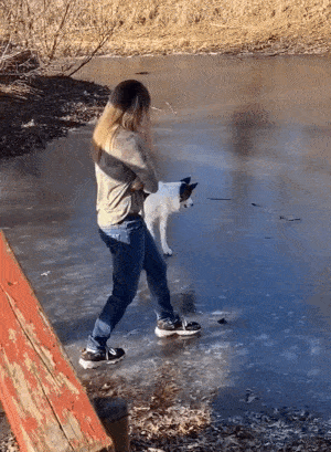 daily gifdump 40 gifs 2.html - 1 HD GIF | Premium Gallery 2026
