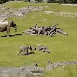 daily gifdump 40 gifs 2.html - 1 HD GIF | Premium Gallery 2026