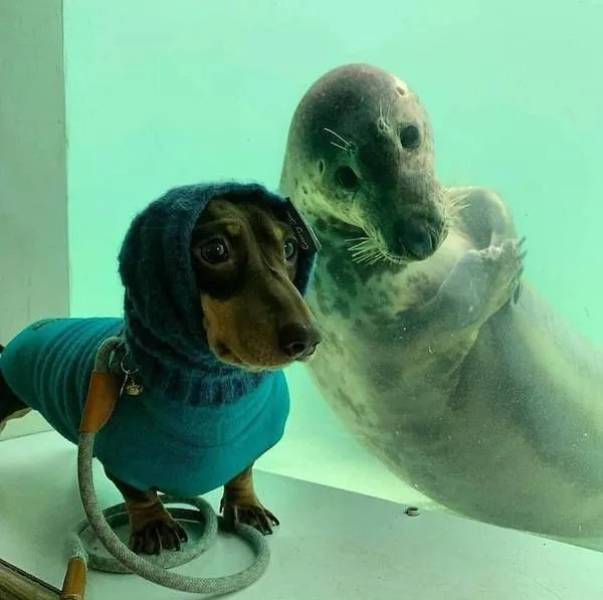 daily picdump 40 pics 2.html - 40 HD Photos | Premium Gallery 2026